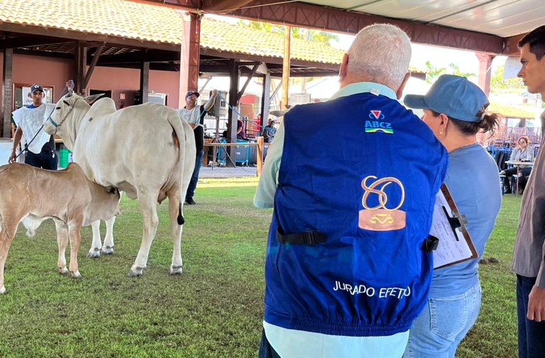 Empório Sebrae reúne marcas alagoanas durante a 73ª Expoagro