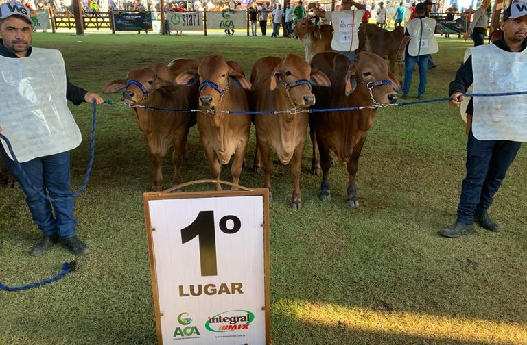 Empório Sebrae reúne marcas alagoanas durante a 73ª Expoagro