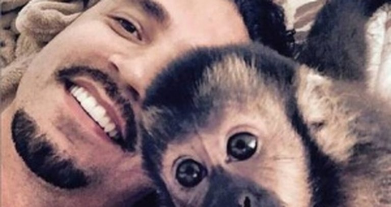 PETA quer que macaco que tirou selfie seja dono dos direitos